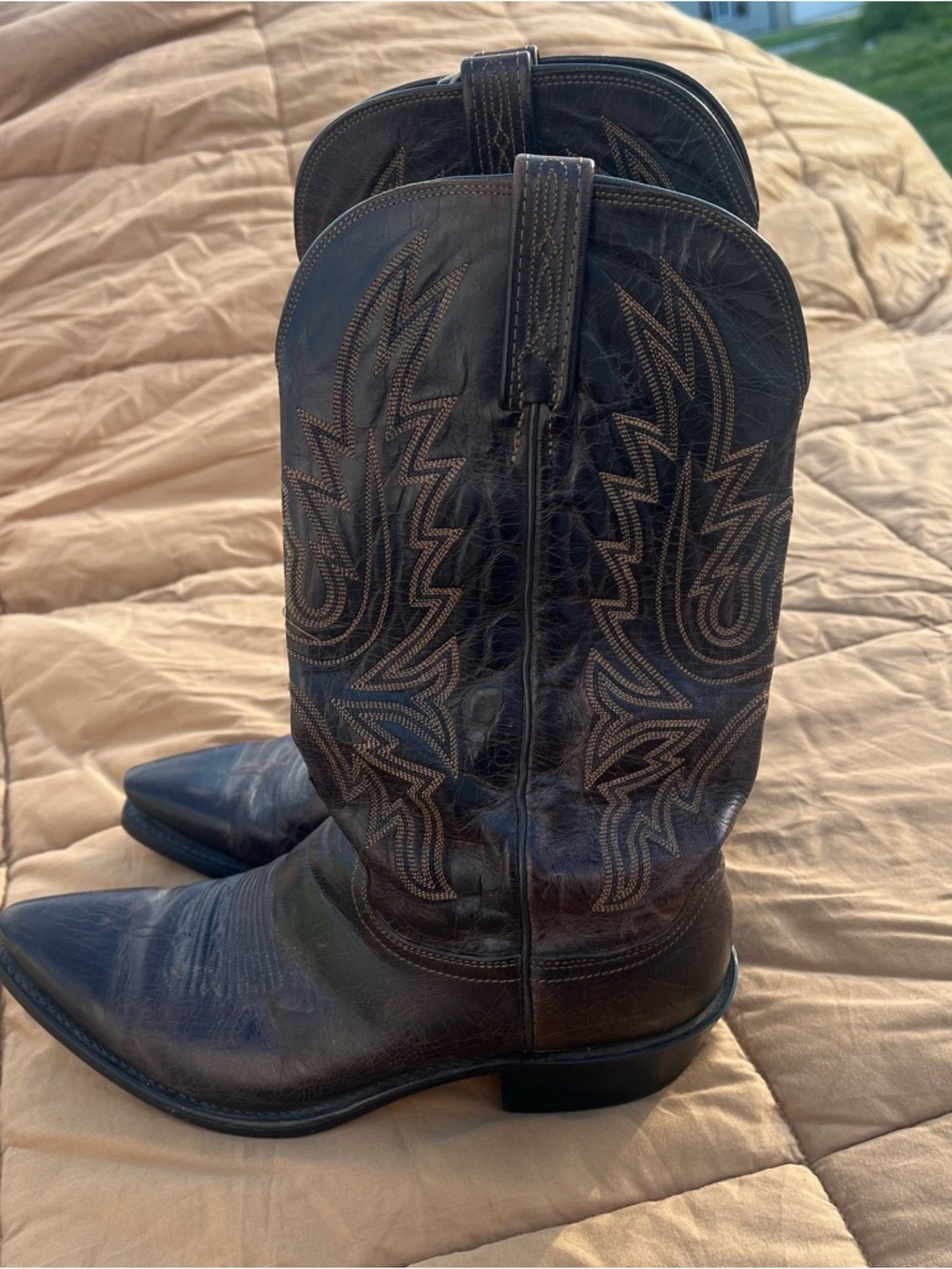 Lucchese 1883 Corbin N1556 Dark Brown Embroidered Mad Dog Goat Leather Size 9EE